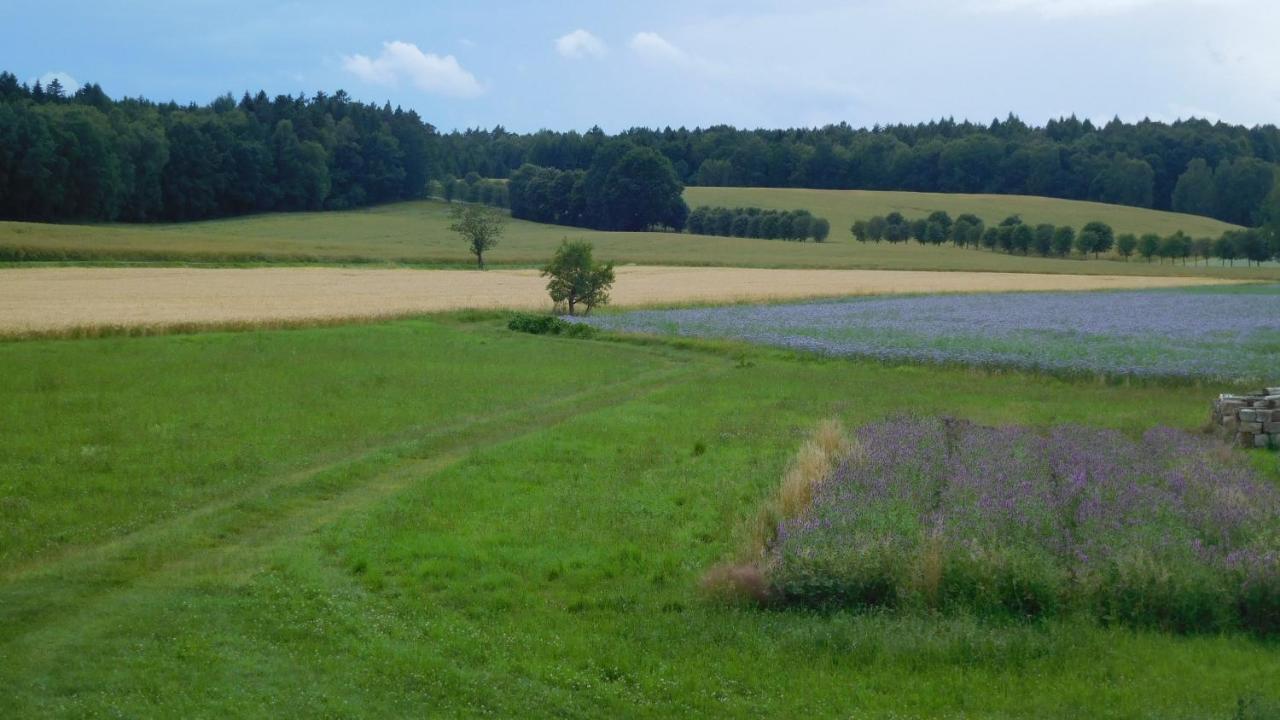 Ferienwohnung Porschendorf Durrrohrsdorf-Dittersbach Экстерьер фото